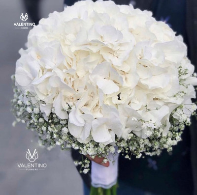 Hydrangea bridal flower